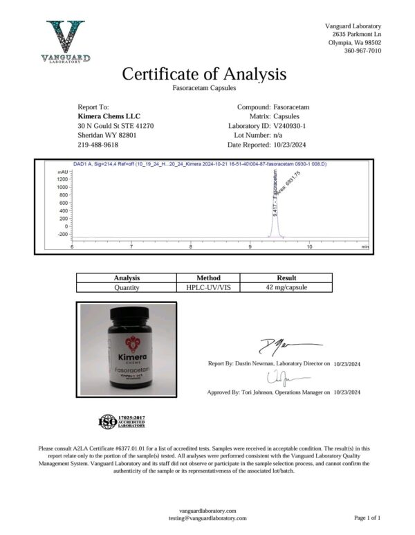 Fasoracetam - Image 2