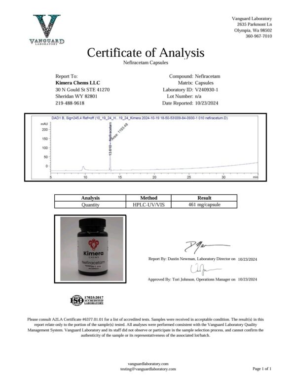 Nefiracetam - Image 2