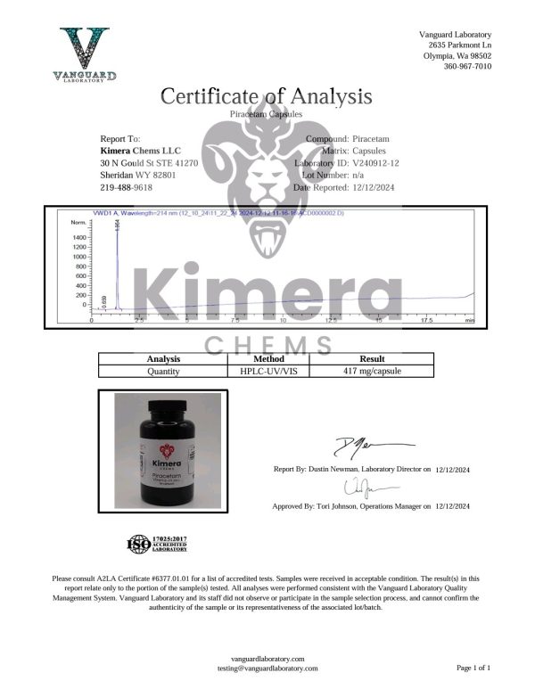 Piracetam - Image 2